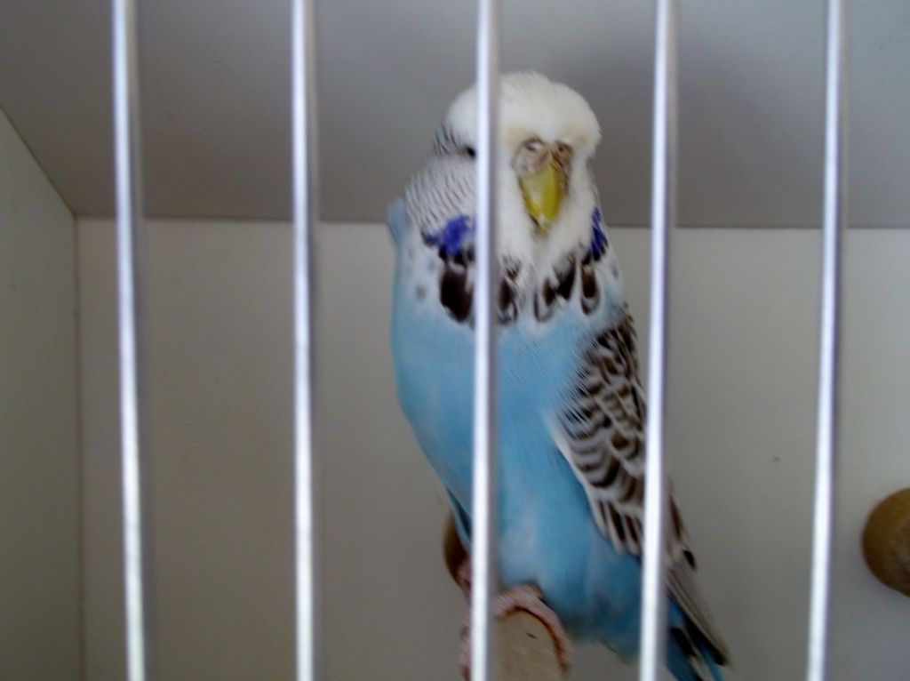 2015 004.jpg